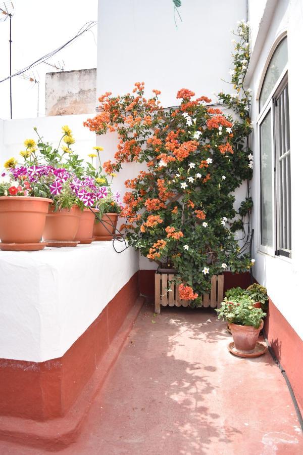 Veedor 12 Apartment Cádiz Exterior foto