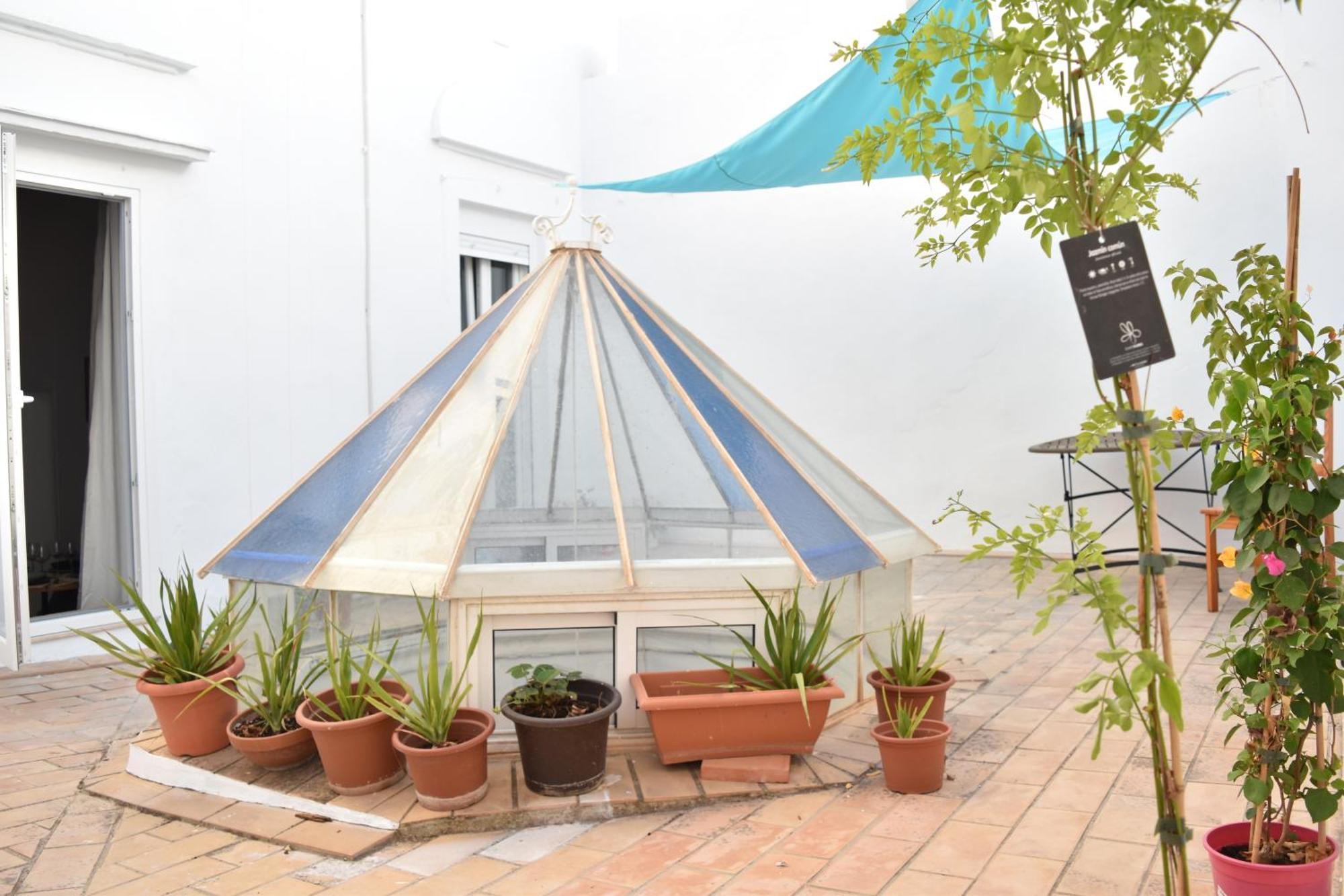 Veedor 12 Apartment Cádiz Exterior foto