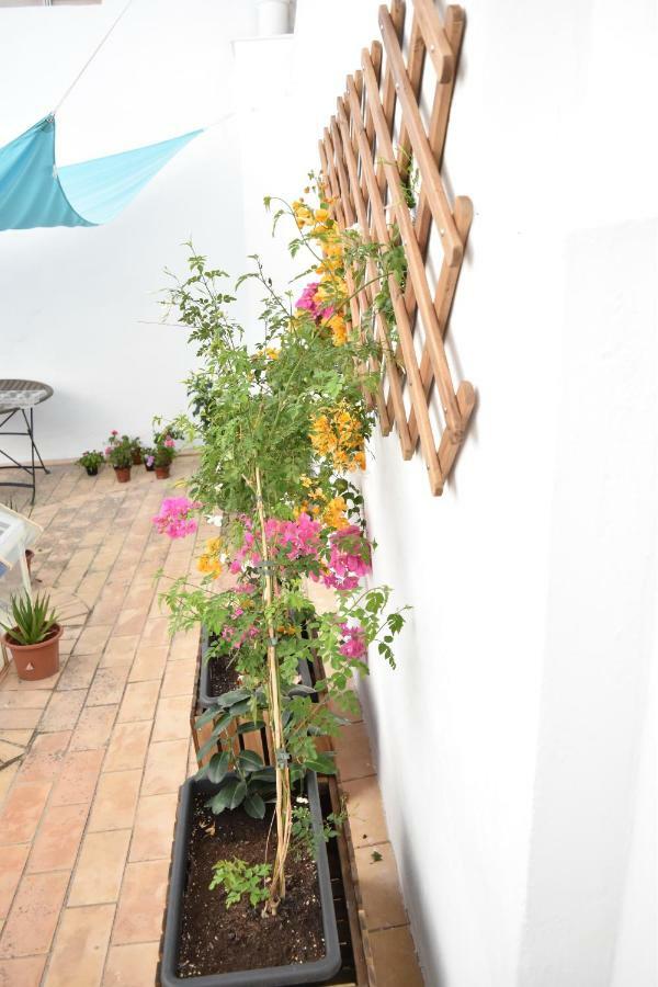 Veedor 12 Apartment Cádiz Exterior foto